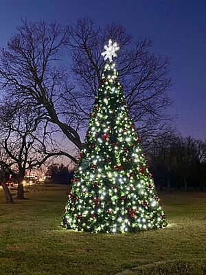 Christmas Tree Eufaula Oklahoma
