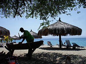 Coconuts on the beach at Club Indigo, Haiti