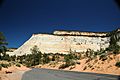 Cross-bedded Navajo Sandstone (Lower Jurassic), Checkerboad Mesa, White Cliffs, Zion National Park, sw Utah 2