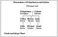 Cyclops Polyphemus & Galatea Family Tree (Greek Mythology) (English)