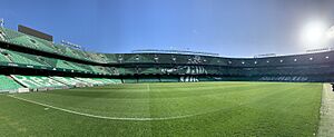 Estadio Benito Villamarín 9