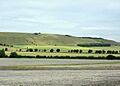 Farmland in the Vale of Pewsey - geograph.org.uk - 1410682