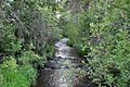 Fifteenmile Creek in Dufur, Oregon