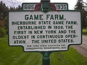 Game Farm Sherburne NY