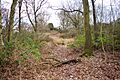Gamlingay Cinques 7