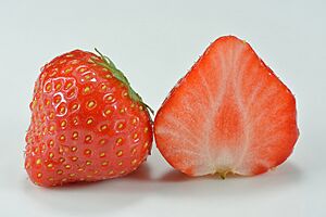 Garden strawberry (Fragaria × ananassa)