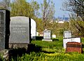GoldenHillCemetary-Lakewood