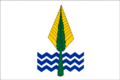 Flag of New Valley Governorate