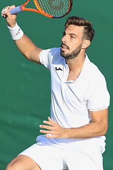 Granollers WM17 (8) (36183580805)