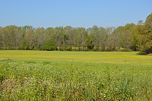 Harper Road field fortifications