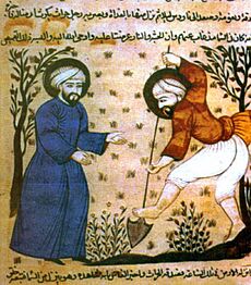 Islamic Spain agricultural scene