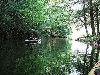 Kennedy Creek in Lackawanna State Park.jpg