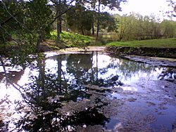 Kimberley warm springs