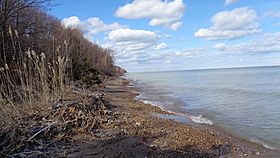 Lakeport State Park (March 2019).jpg
