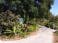 Lakes Park Fragrance garden