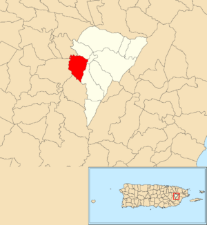 Location of Lirios within the municipality of Juncos shown in red