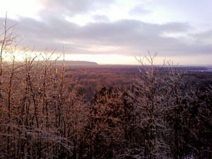 Little Grand Canyon IL