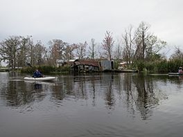 Louisiana Kayaking Lac Des Allemands.jpg