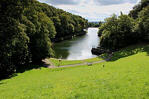 Lower Chellow Dene Reservoir (2) - geograph.org.uk - 4148915