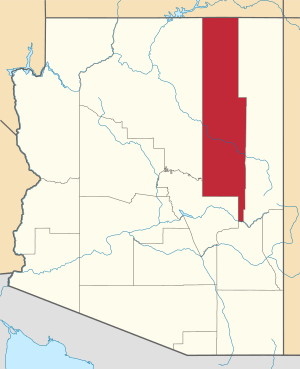 Map of Arizona highlighting Navajo County
