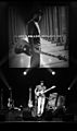 Marcus Miller, Royal Festival Hall, london 7th May 2012