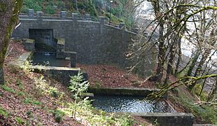 McLoughlin Promenade Grand Staircase and creek from NE- Oregon City Oregon (cropped)