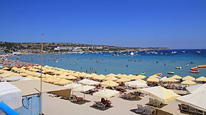 Mellieha Bay beach Malta 1