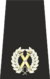 Met Commander Epaulette.svg