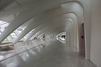 Milwaukee art museum, edificio di calatrava, interno 09