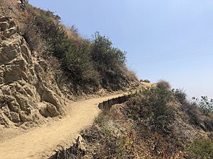 Mount Wilson Trail