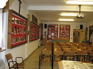 Museo papa Luciani