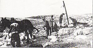 Old well west of Jerusalem 1917