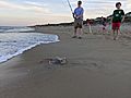 Outer Banks Skate Fishing