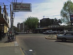 Padua Argentina 02