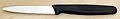 Paring Knife