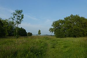 Path on the edge of the Knavesmire (geograph 6511335).jpg