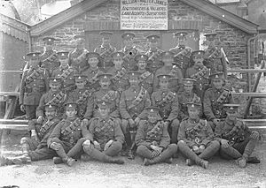 Pembrokeshire yeomanry group portrait (3891088)