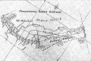 Plan of Mokau (Puketutu) Station on 12 acres 1 rood 5 perches 1880s