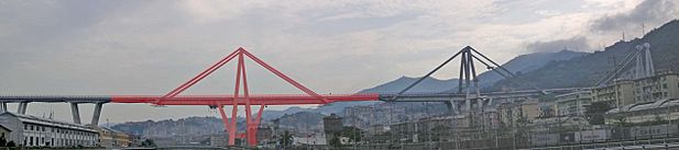 Ponte Morandi collapse