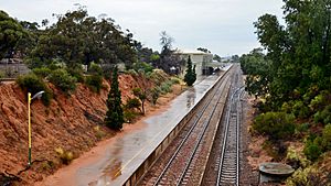 Port Augusta railway station, 2017 (06)