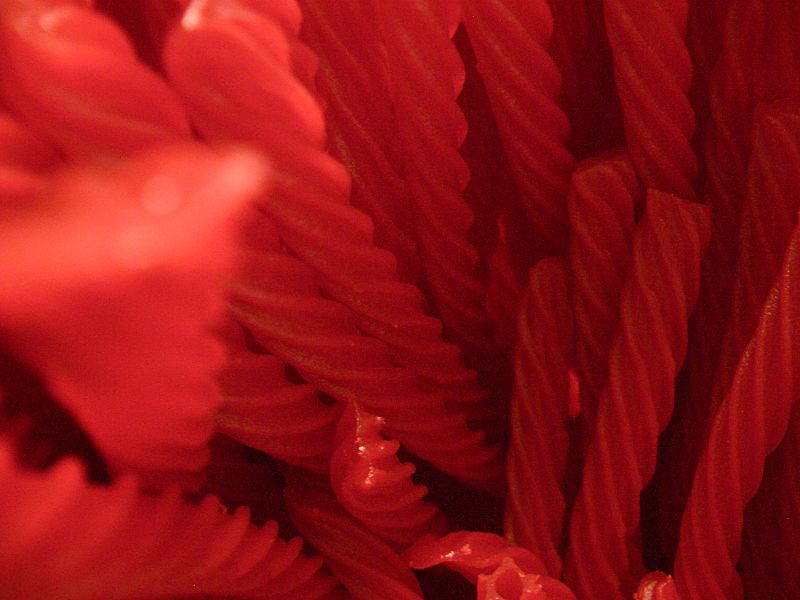 Red Vines (1808642975)