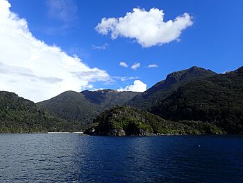 Resolution Island Fiordland New Zealand Aotearoa.jpg