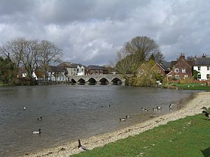 River Avon and bridge at Fordingbridge