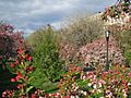 Riverside Park 02