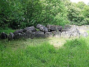 Rocks tombs passage lough gur