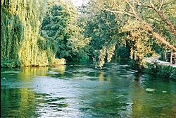 Romsey River Test.jpg