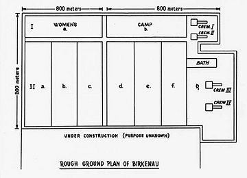 Rough ground plan of Birkenau, April 1944