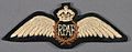 Royal Pakistan Air Force flying badge