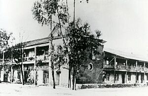 SalvadorVallejoAdobe