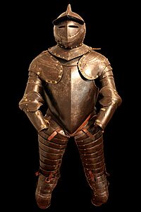 Savoyard armour IMG 3805